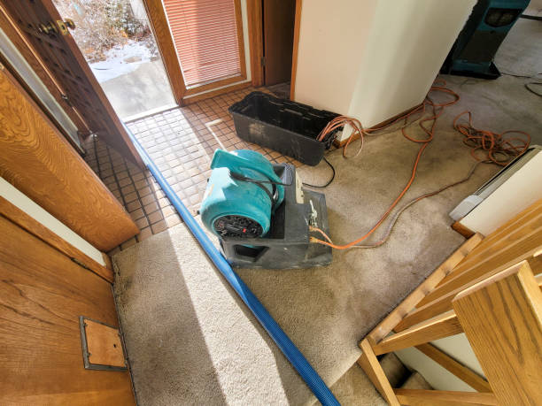 Best Fire Damage Restoration  in Cooper City, FL