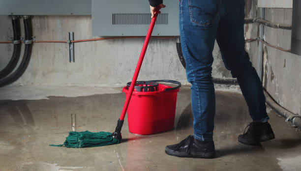 Best Flood restoration services  in Cooper City, FL