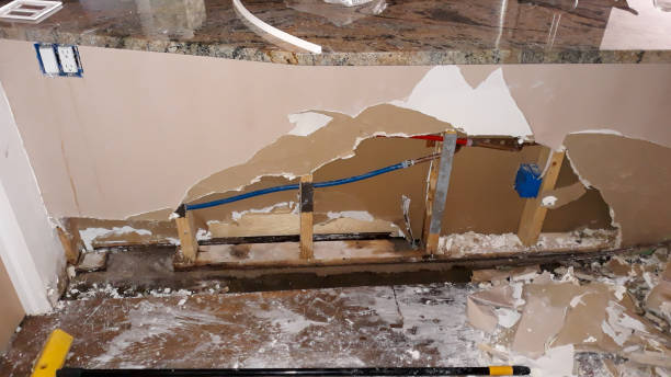 Best Water damage contractors near me  in Cooper City, FL