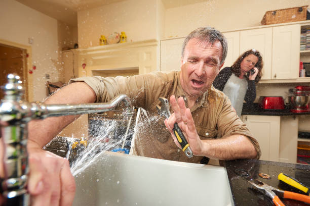 Best Flood restoration services  in Cooper City, FL